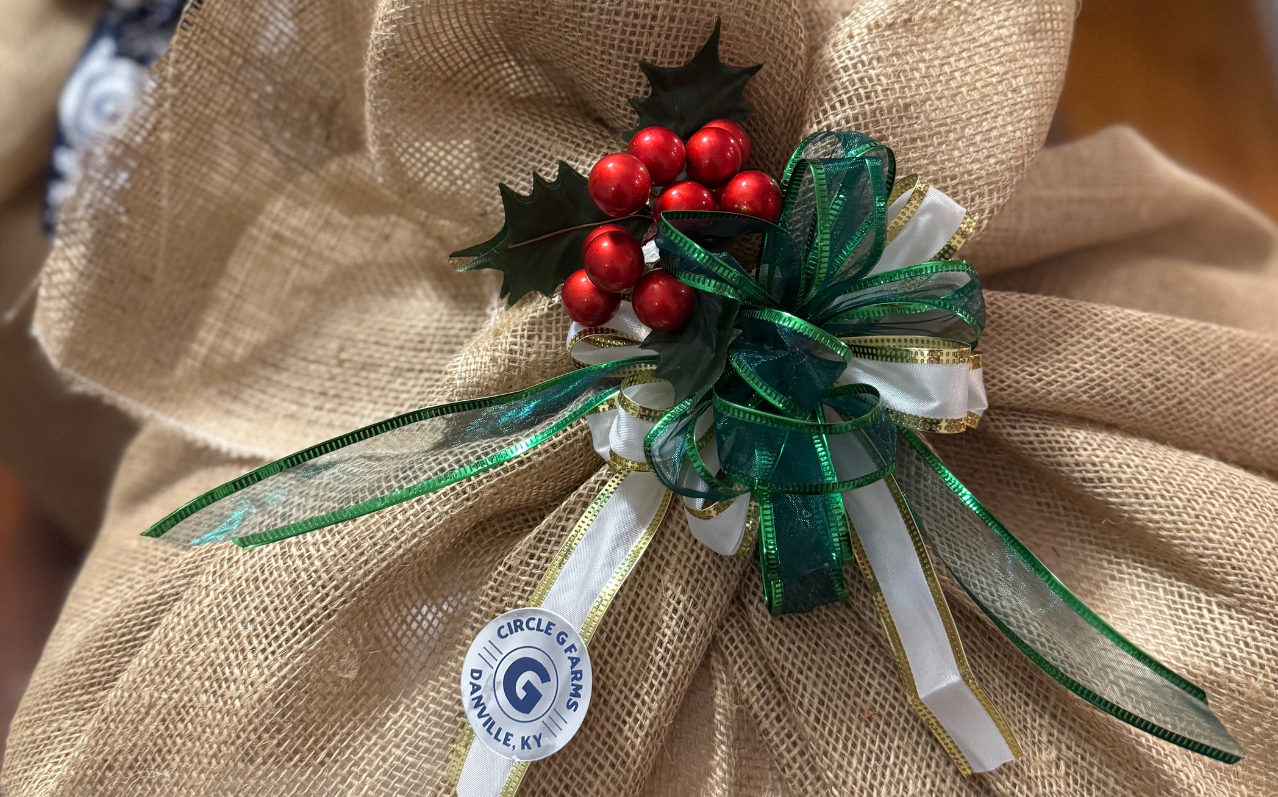 Maumee paint Supplies